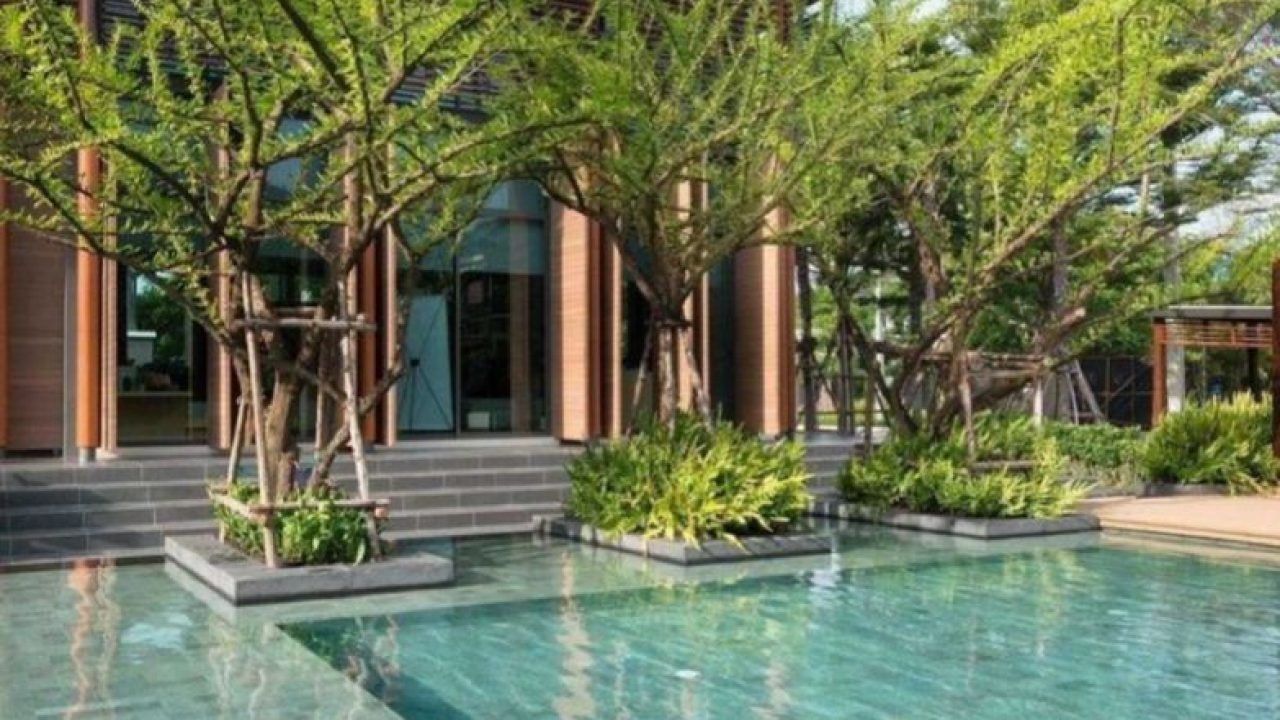 Conheça mais: Pedra Hijau